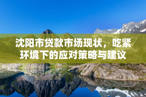  市贷款市场现状，吃紧环境下的应对策略与建议